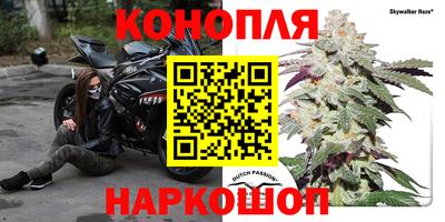 прущие крисы Новокубанск
