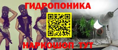 прущие крисы Новокубанск