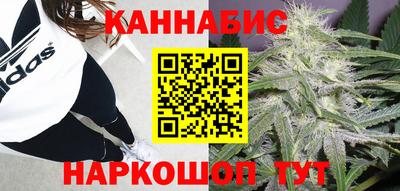 прущие крисы Новокубанск