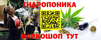 твердый Новодвинск