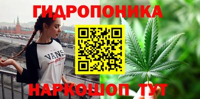 твердый Новодвинск