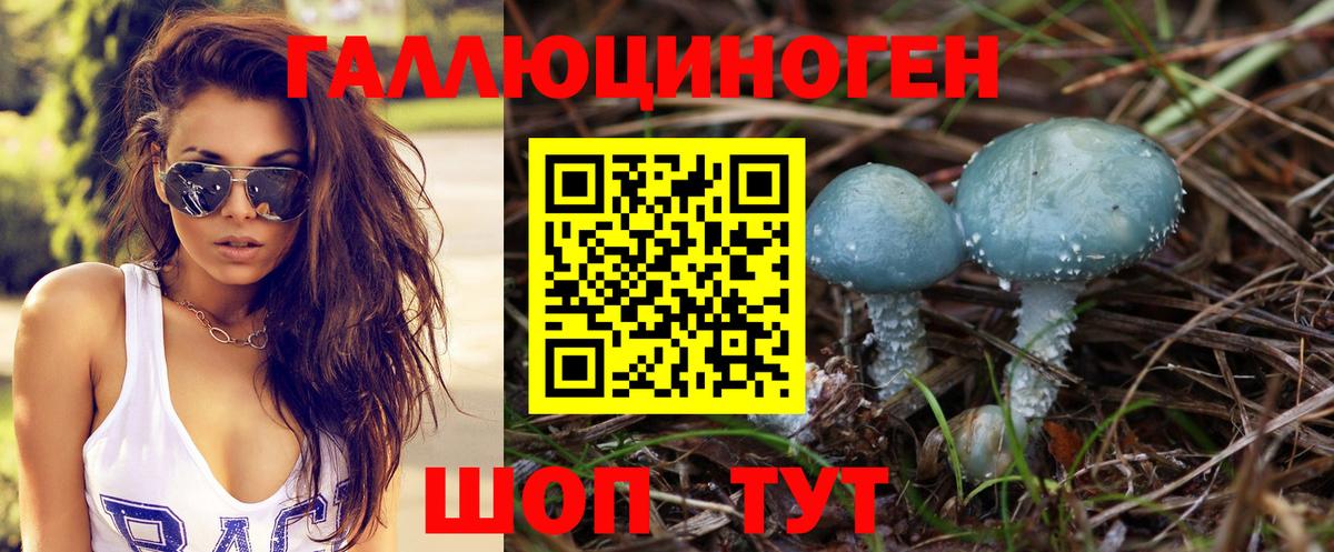 Псилоцибиновые грибы Cubensis  Вход с VPN  Углич 