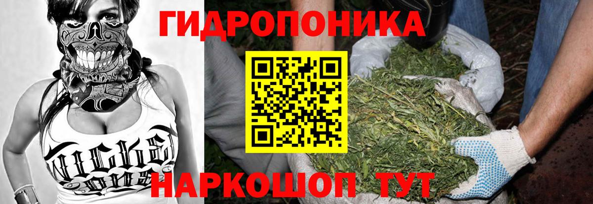 Углич  Бошки марихуана конопля  МАРИХУАНА Ganja  МАРИХУАНА индика  Вход с VPN 